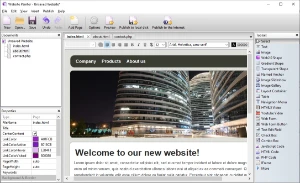 WebsitePainter 3 professional - Softwares e Licenças
