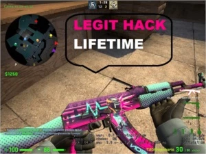 Legit Hack Cs Go - Lifetime - 223/05/2019 - Counter Strike
