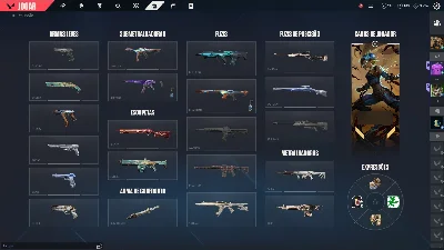 Conta Valorant Coleção completa de skins + 14 agentes