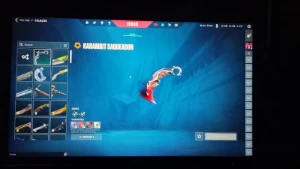 Conta Valorant/LoL. Mesmo login e senha. Gmai de criação.