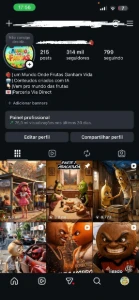 conta instagram com 300k de seguidores - Redes Sociais