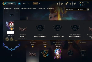 Ferro 1 com TODOS os Champs e 124 Skins( MAIN ADC ) - League of Legends LOL