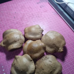 Pacote com 5 Cascas Fechadas de Jacarandá - Artesanato e Personalizados