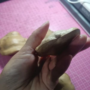 Pacote com 5 Cascas Fechadas de Jacarandá - Artesanato e Personalizados