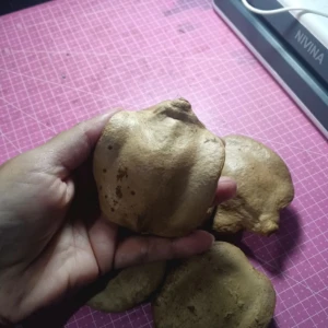 Pacote com 5 Cascas Fechadas de Jacarandá - Artesanato e Personalizados