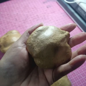 Pacote com 5 Cascas Fechadas de Jacarandá - Artesanato e Personalizados