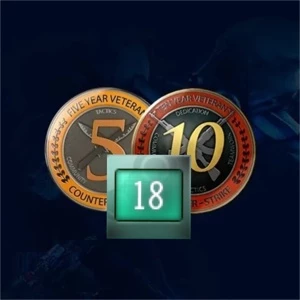 CONTA ANTIGA STEAM 18 ANOS MEDALHAS 10 E 5 ANOS DE SERVIÇO - Counter Strike CS