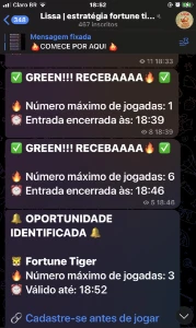 🐯Sinais Tiger Fortune Com 99% De Acertividade - Outros