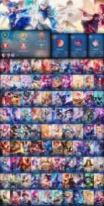 Mobile legends 300 skins a 660