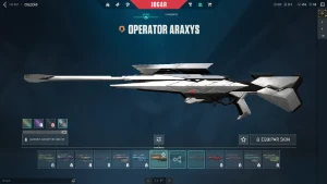 Conta valorant Skins