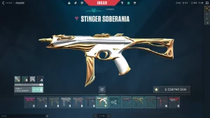Conta valorant Skins