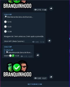 Robo Blaze Doble branco - Outros
