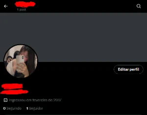 conta twitter 2017 - Social Media