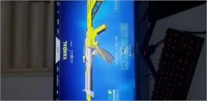 Vendo Conta Valorant DIMA (R$ 508,00 gastos) com skins