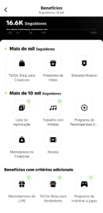 Conta Tiktok (Sem Shop) +16.600 Seguidores + Email - Redes Sociais