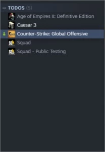 Conta CS Prime 1500horas + Squad + Age of empires - Counter Strike
