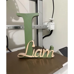 Letra 3D com Nome Personalizado para Porta Maternidade - Artesanato e Personalizados