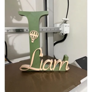Letra 3D com Nome Personalizado para Porta Maternidade - Artesanato e Personalizados