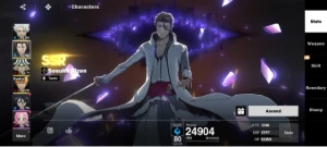 Conta de Bleach Soul Resonance Lvl 62 - Outros