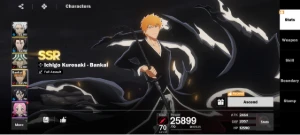Conta de Bleach Soul Resonance Lvl 62 - Outros