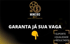 Mineiro BET Lucro Garantido ou seu dinheiro de volta! - Outros