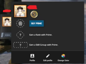 Conta Level 12 Gc + Plus Na Gc - Counter Strike CS