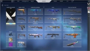 CT VALORANT COM CARDS DO BETA/COM MAIS DE 700 REAIS GASTOS