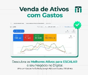 Ativos Google ads - Outros