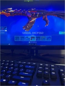 CONTA COM VÁRIAS SKINS E RADIANTE - Valorant