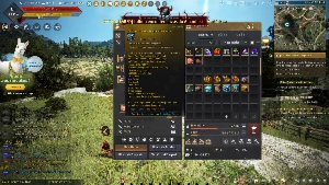 BDO Conta Black Dezert poupa tempo!!! sem vinculo nenhum! - Black Desert