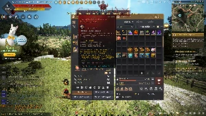 BDO Conta Black Dezert poupa tempo!!! sem vinculo nenhum! - Black Desert