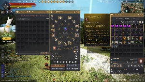BDO Conta Black Dezert poupa tempo!!! sem vinculo nenhum! - Black Desert