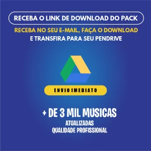 Pack de Músicas Atualizadas 2024 (Pendrive Digital) - Outros