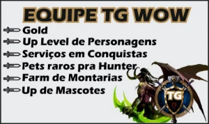 Serviços de Lv up 1 ao 60 wow - Blizzard