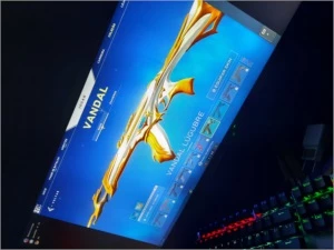 ATENÇÃO!!! CONTA VALORANT COM VARIAS FACAS E SKINS, 500$ GAS