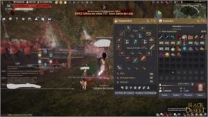 Conta Black desert barata