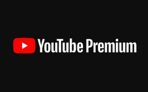 YOUTUBE PREMIUM 30 DIAS - Assinaturas e Premium - eBooks