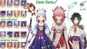 Ayaka + Arma Assinatura, Yae c2 e Xiao - Genshin Impact