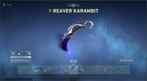 Conta Valorant Ex Radiante 111 Skins