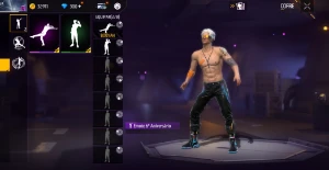 300 diamantes | 1 cubo | 25 Pets | 32k ouro | 10 personagens - Free Fire