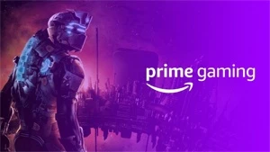 (PROMOÇÃO) PRIME GAMING - CONTA INDIVIDUAL - Outros