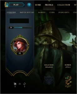CONTAS SMURFS UNRANKEDS LEVEL 30 - League of Legends LOL