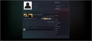 Conta CS:GO AK-2 - Counter Strike