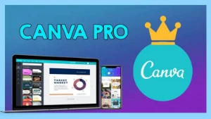 Canva Pro Vitalicio ( No Seu Email) - Assinaturas e Premium