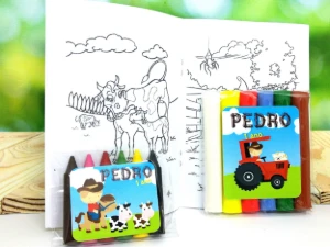 Baby Kit Colorir e Modelar Fazendinha - Artesanato e Personalizados