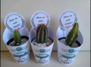 Kit 50 Rótulos e 50 Tags para Mini Suculentas - Artesanato e Personalizados