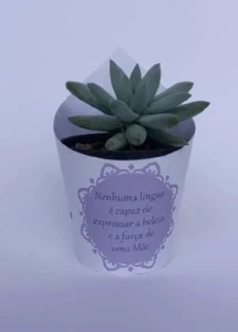 Kit 50 Rótulos e 50 Tags para Mini Suculentas - Artesanato e Personalizados