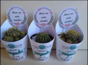 Kit 50 Rótulos e 50 Tags para Mini Suculentas - Artesanato e Personalizados