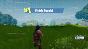 Vitórias No Fortnite Ps4 Pacote De Wins Squad - Playstation