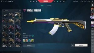 Conta Valorant com vandal sublime, ancifogo e muito mais
